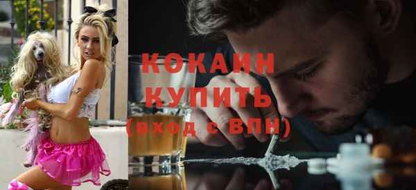 эйфоретик Арсеньев