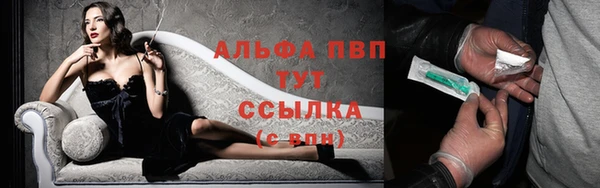 эйфоретик Арсеньев