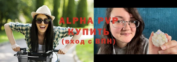прущие грибы Переславль-Залесский