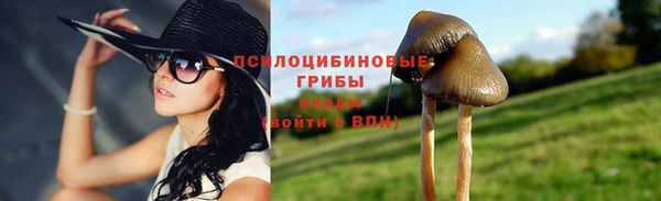 марки nbome Аркадак