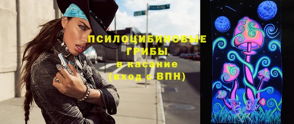 эйфоретик Арсеньев