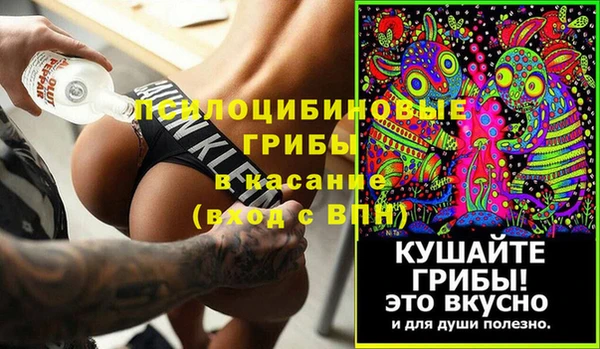 эйфоретик Арсеньев