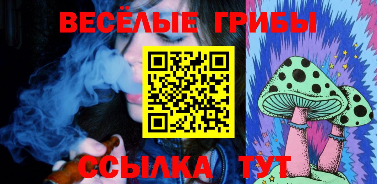 Галлюциногенные грибы GOLDEN TEACHER Брянск