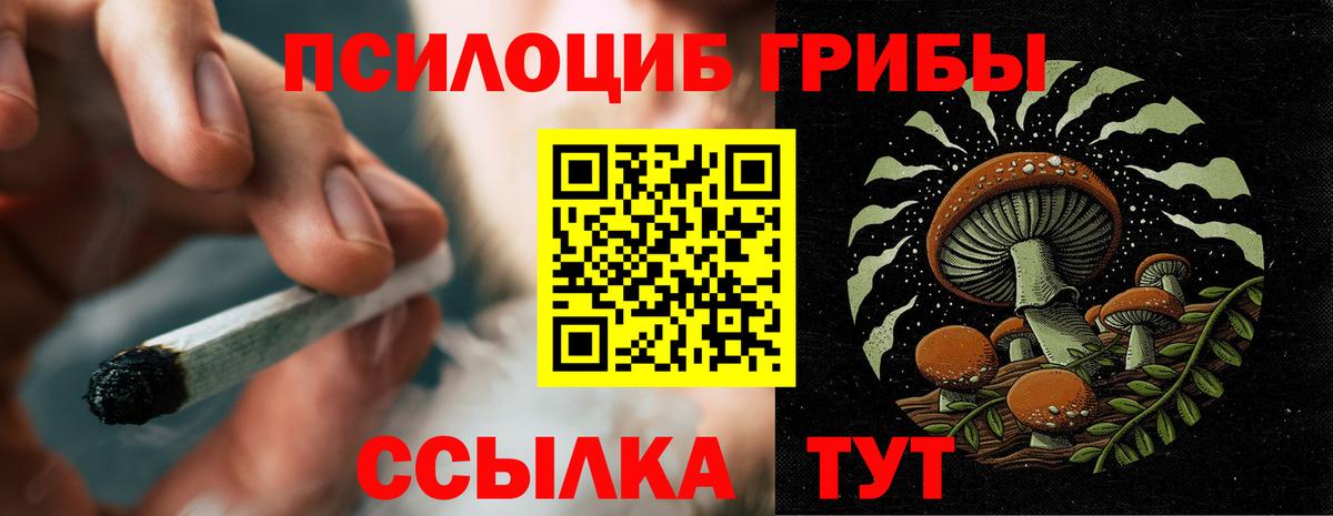 Брянск  Псилоцибиновые грибы мухоморы  Вход с VPN 